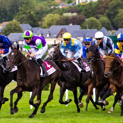 ELITE HORSE TIPS 